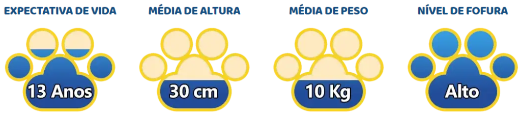 Pug 1024x228 - Tudo sobre Pug &ndash; Dicas para seu filho de 4 patas