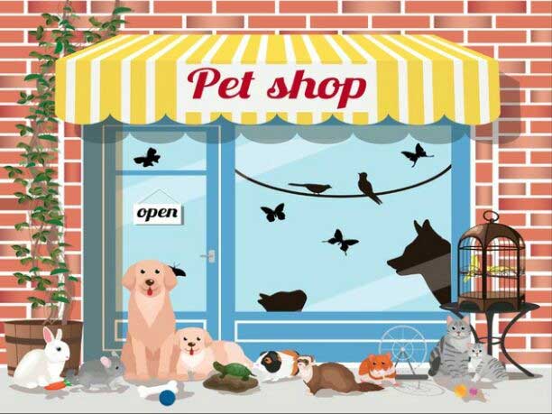 Vale a pena abrir um Pet Shop?