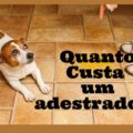 Quanto custa adestrar um cachorro 120x120 - Ou eu ou o Cachorro, ela disse! O que voc&ecirc; faria?