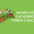 Dicas de nomes pra cachorro 120x120 - Olha o que o cachorro fez ao ver dono em acidente