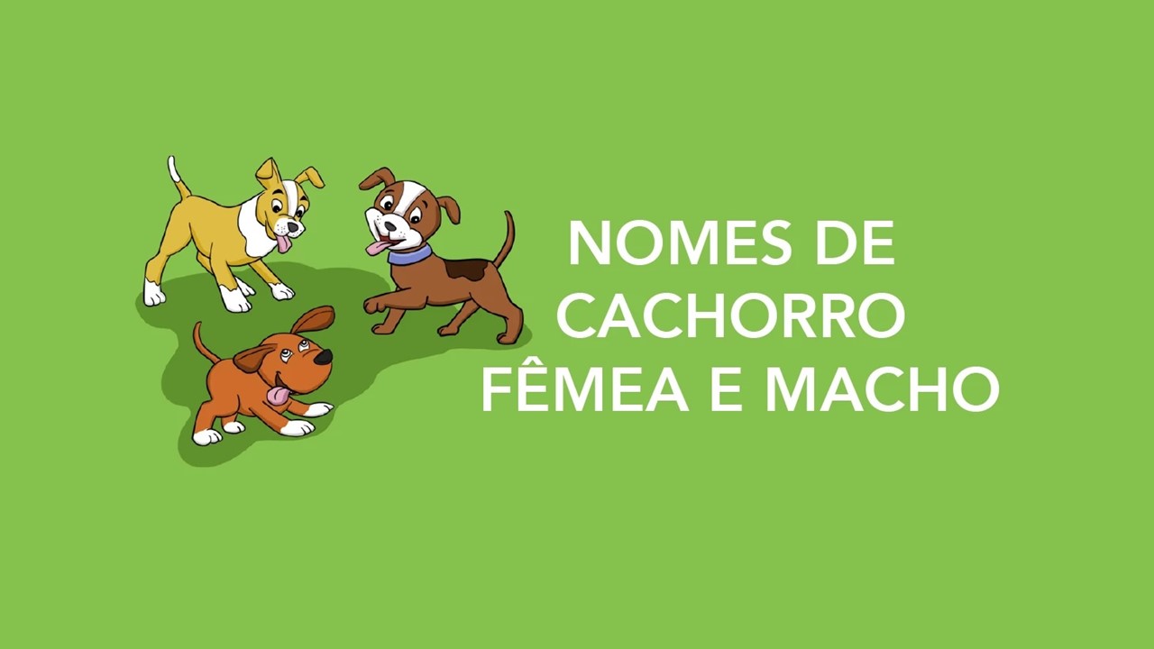 Dicas de nomes pra cachorro