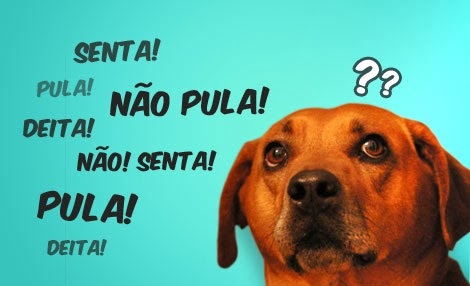 erros ao adestrar seu cachorro 1 - 6 erros ao adestrar seu cachorro e uma superdica