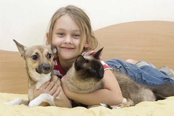 mercado pet canaldeestimacao - Dicas de nomes pra cachorro