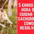 5 erros na hora de cuidar de cachorro e como resolver 1 120x120 - Funciona mesmo? Guia de Adestramento Passo a Passo