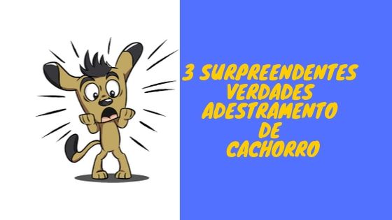 3 surpreendentes verdades que nunca te contaram-adestramento de cachorro