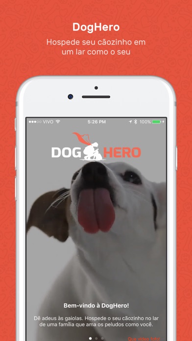 392x696bb - Onde deixar o cachorro quando for viajar?