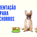 alimenta&ccedil;&atilde;o para cachorros 120x120 - Olha o Tamanho desses Animais-Voc&ecirc; N&Atilde;O vai acreditar!