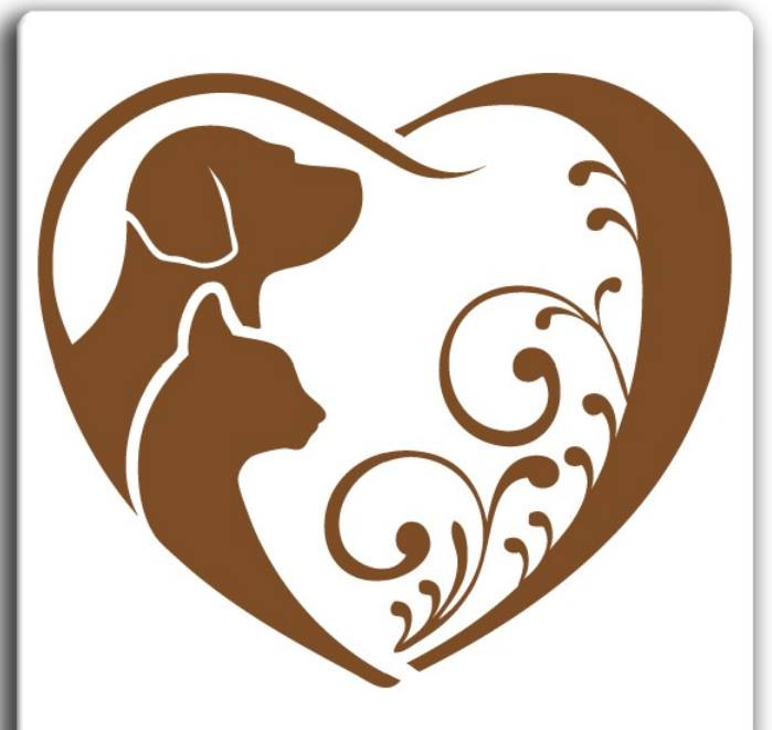 alimenta&ccedil;&atilde;o pra cachorro e gato 1 - 5 dicas de alimenta&ccedil;&atilde;o pra cachorro e gato