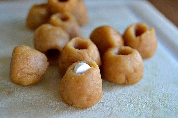 truques para dar remedio via oral para um cachorro ou gato 1 - 5 Dicas - Como dar Rem&eacute;dio pra Cachorro e Gato