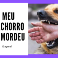 Meu Cachorro me Mordeu Capa 120x120 - Comprei um filhote: e agora?
