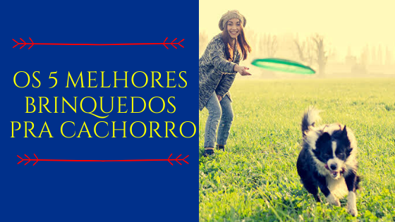 Os 5 melhores brinquedos pra cachorro 1 - Comprei um filhote: e agora?