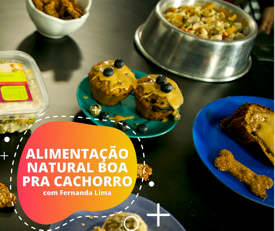 S&oacute; 4990 - Comprei um filhote: e agora?