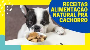 ff4c47 5 300x169 - 7 Segredos que nunca te contaram sobre a sa&uacute;de do seu C&atilde;o