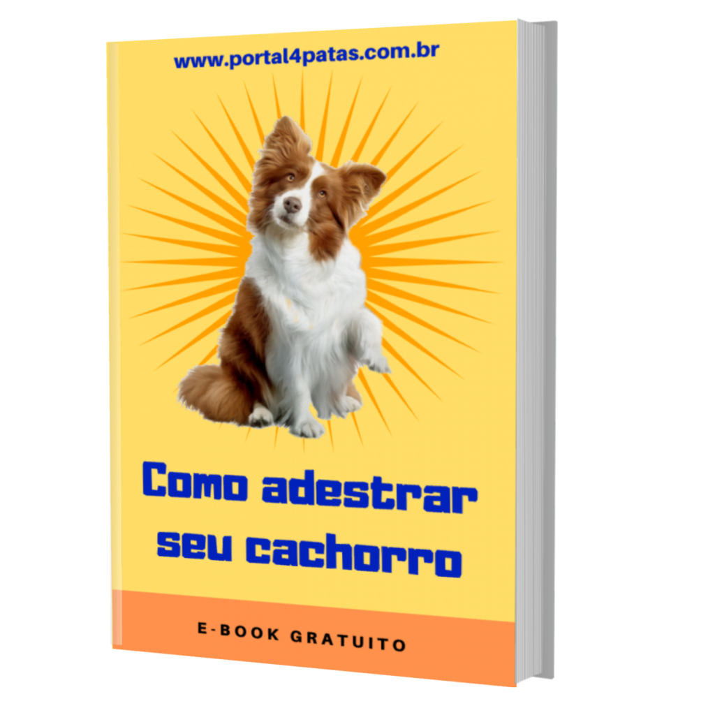 mock 00053 1024x1024 - Como Adestrar seu Cachorro  a Sentar