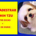 Como Adestrar Um Shih Tzu 120x120 - Pulgas e Carrapatos Como Eliminar [DICA DE OURO]