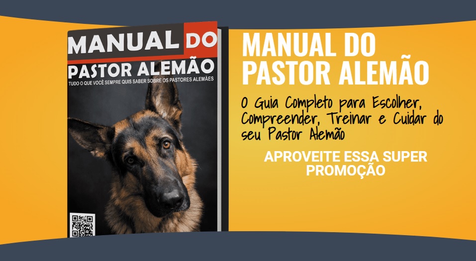 Sem t&iacute;tulo 1 - Como Adestrar Um Pastor Alem&atilde;o [3 Super Dicas + Dica de OURO]