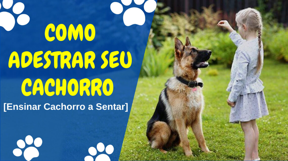 Como Adestrar seu Cachorro  a Sentar
