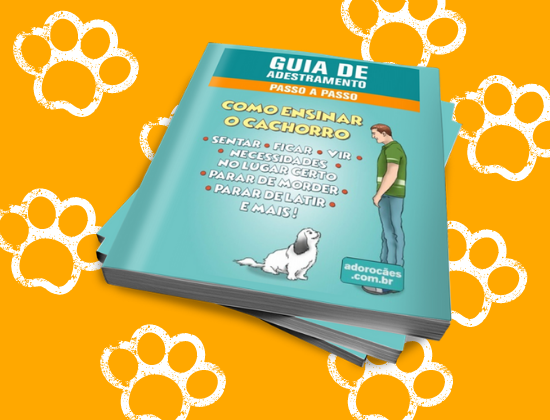 Design sem nome 93 - Como Adestrar seu Cachorro  a Sentar