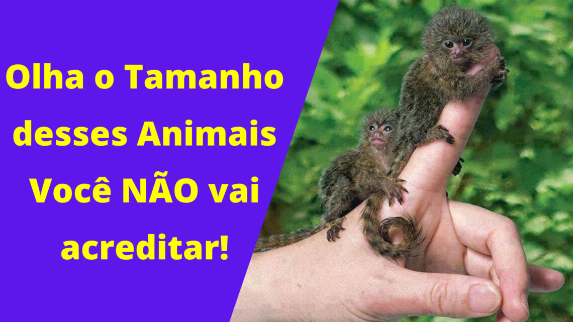 Olha o Tamanho desses Animais-Você NÃO vai acreditar!