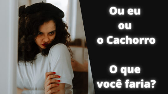 Ou eu ou o Cachorro, ela disse! O que você faria?